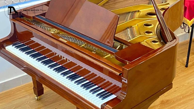 Tất tần tật cấu tạo Grand Piano: Các bộ phận chi tiết 1 Grand Piano thường có kích thước lớn hơn đáng kể và nắp đàn có thể mở ở nhiều góc độ khác nhau