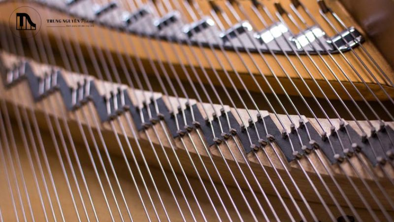 Tất tần tật cấu tạo Grand Piano: Các bộ phận chi tiết 11 Ngựa đàn (bridge) là một thanh gỗ cứng, thường làm từ gỗ thích (maple) hoặc sồi (beech)