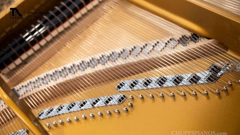 Tất tần tật cấu tạo Grand Piano: Các bộ phận chi tiết 12 Chốt giữ dây (hitch pin) là những chốt kim loại nhỏ, thường bằng thép