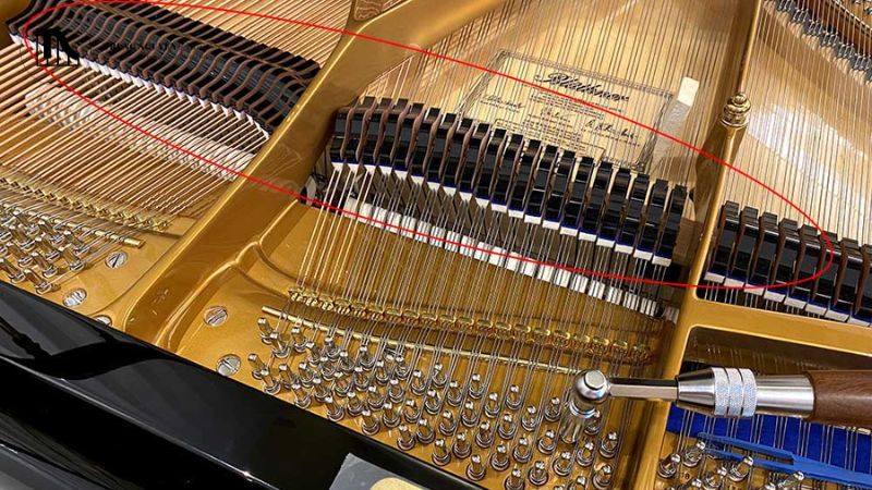 Tất tần tật cấu tạo Grand Piano: Các bộ phận chi tiết 14 damper (bộ phận giảm âm) là những miếng gỗ nhỏ được bọc nỉ, có nhiệm vụ chặn sự rung động của dây đàn