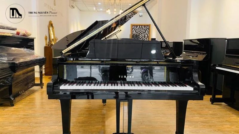 Tất tần tật cấu tạo Grand Piano: Các bộ phận chi tiết 16 Âm thanh đặc trưng, mạnh mẽ và giàu cảm xúc của Grand Piano