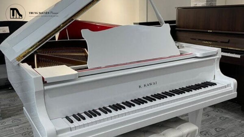 Tất tần tật cấu tạo Grand Piano: Các bộ phận chi tiết 18 Việc hiểu rõ cấu tạo của đàn Grand Piano mang lại nhiều lợi ích thiết thực