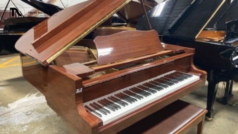 Tất tần tật cấu tạo Grand Piano: Các bộ phận chi tiết 3 Bảng cộng hưởng (soundboard) được ví như "linh hồn" của cây đàn piano