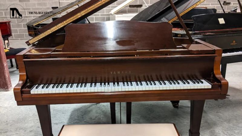 Tất tần tật cấu tạo Grand Piano: Các bộ phận chi tiết 5 Hộp đàn, hay còn gọi là vành đàn (rim), là phần vỏ ngoài tạo nên hình dáng