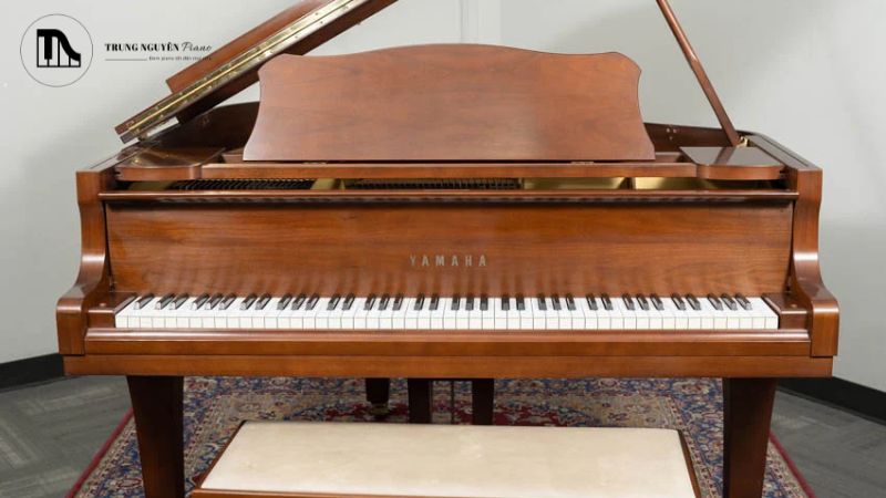 Tất tần tật cấu tạo Grand Piano: Các bộ phận chi tiết 6 Bàn phím là giao diện tương tác chính giữa người chơi và cây đàn