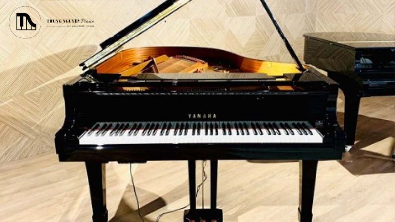 Tất tần tật cấu tạo Grand Piano: Các bộ phận chi tiết 7 Bộ máy của Grand Piano được cấu thành từ nhiều bộ phận chính