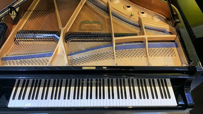 Tất tần tật cấu tạo Grand Piano: Các bộ phận chi tiết 4 Dây đàn là nguồn phát ra âm thanh trực tiếp khi búa đàn gõ vào