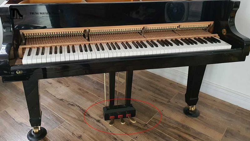 Tất tần tật cấu tạo Grand Piano: Các bộ phận chi tiết 10 Pedal una corda (còn gọi là soft pedal) trên Grand Piano
