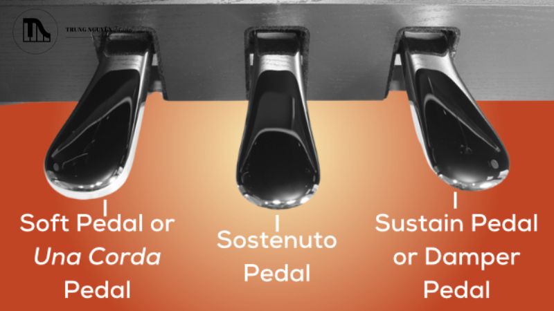 Tất tần tật cấu tạo Grand Piano: Các bộ phận chi tiết 8 Pedal Damper (Pedal vang âm - bên phải)