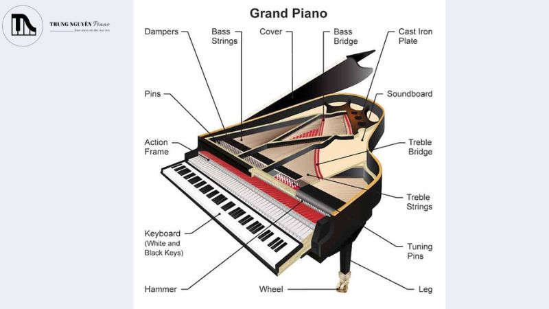 Cấu tạo và nguyên lý hoạt động của grand piano