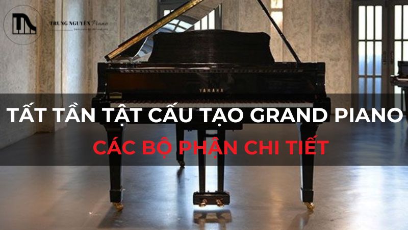 Tất tần tật cấu tạo Grand Piano: Các bộ phận chi tiết