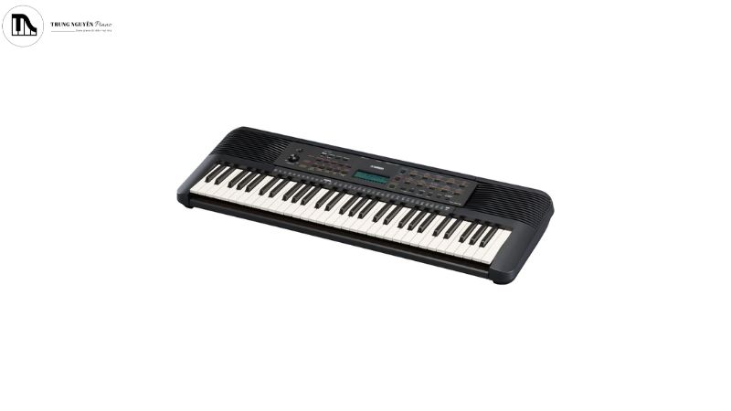 Khám phá chi tiết cấu tạo & nguyên lý hoạt động organ 2 Một cây đàn organ điện tử hiện đại