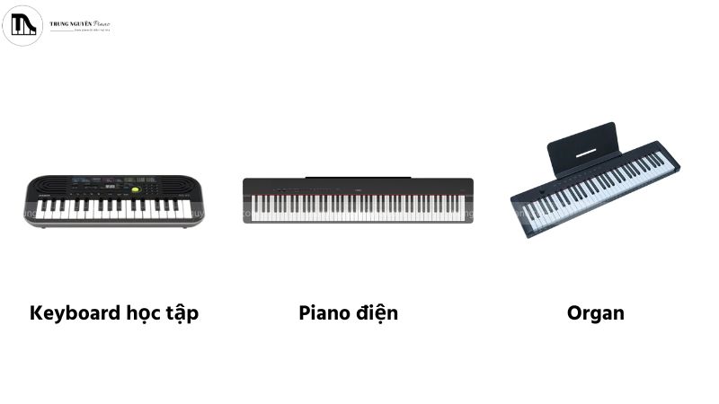 Khám phá chi tiết cấu tạo & nguyên lý hoạt động organ 3 Ba loại đàn: organ, piano điện, keyboard học tập