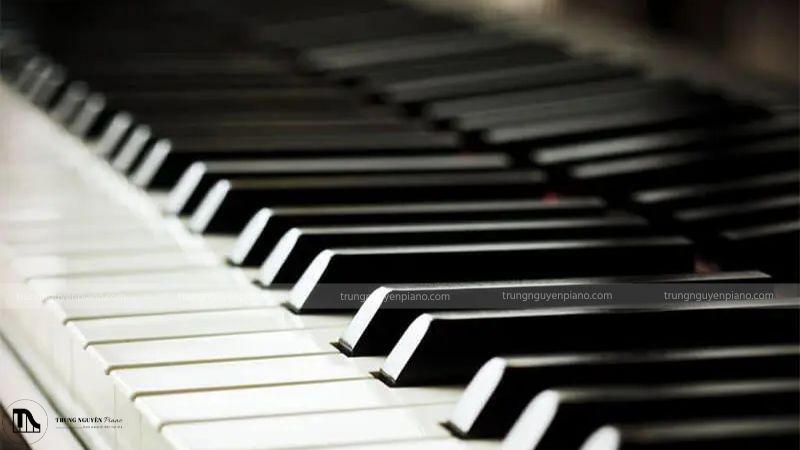 Khám phá chi tiết cấu tạo & nguyên lý hoạt động organ 4 Cận cảnh bàn phím của một cây đàn organ