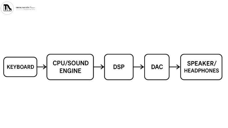 Khám phá chi tiết cấu tạo & nguyên lý hoạt động organ 7 Sơ đồ khối đơn giản về hành trình tạo ra âm thanh của organ