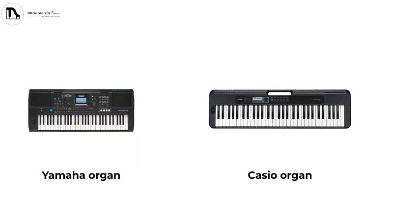 Tham khảo các mẫu đàn organ đến từ các thương hiệu lớn