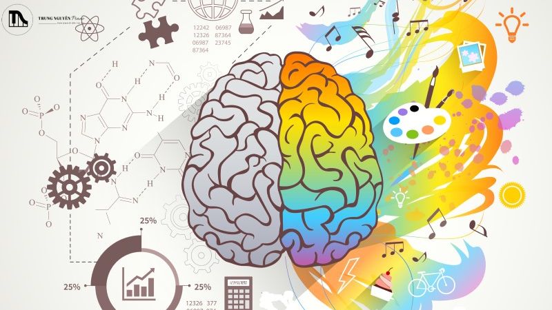 Chơi đàn giúp não bộ phát triển toàn diện