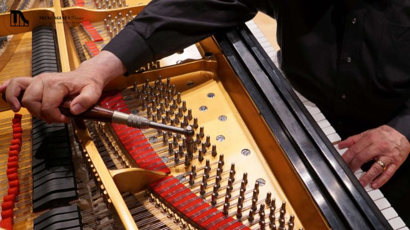 Tự căng chỉnh dây đàn grand piano tại nhà được không