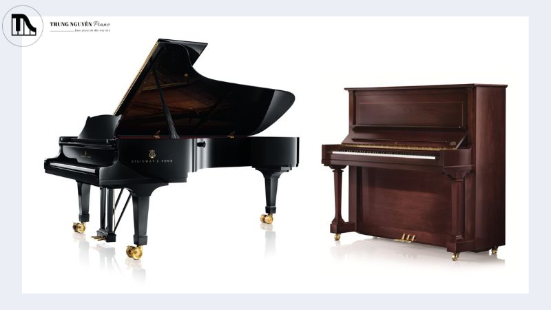 So sánh grand piano và upright piano