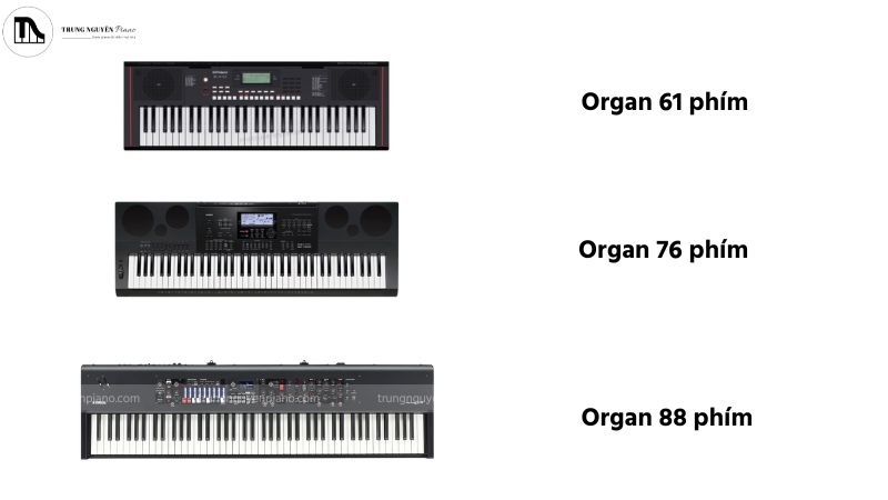 Dải phím đàn organ 61, 76, 88 phím