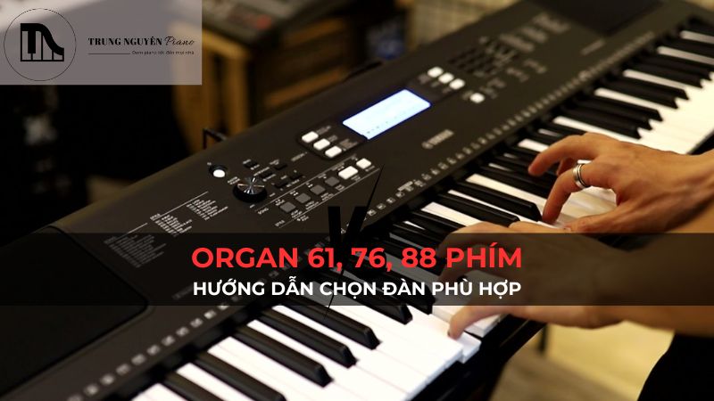 Đàn organ 61 phím, 76 phím, 88 phím: Hướng dẫn chọn đàn phù hợp