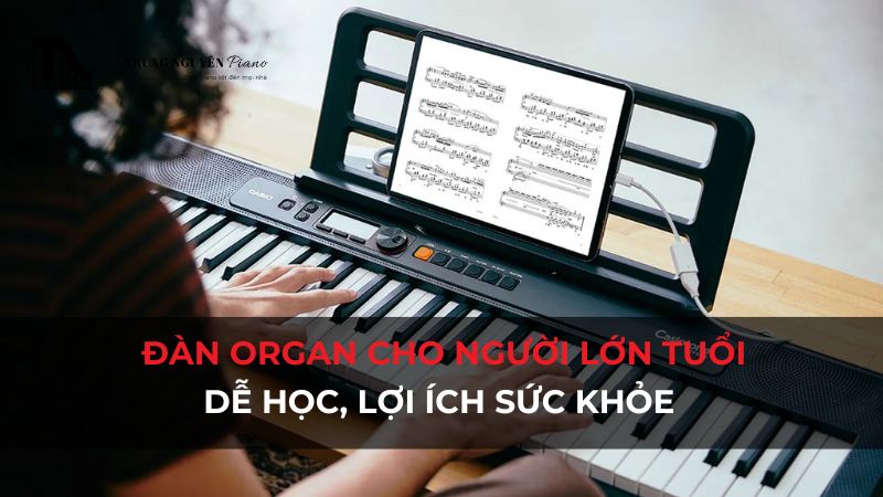 Đàn Organ cho người lớn tuổi: Dễ học không ngờ, lợi ích sức khỏe