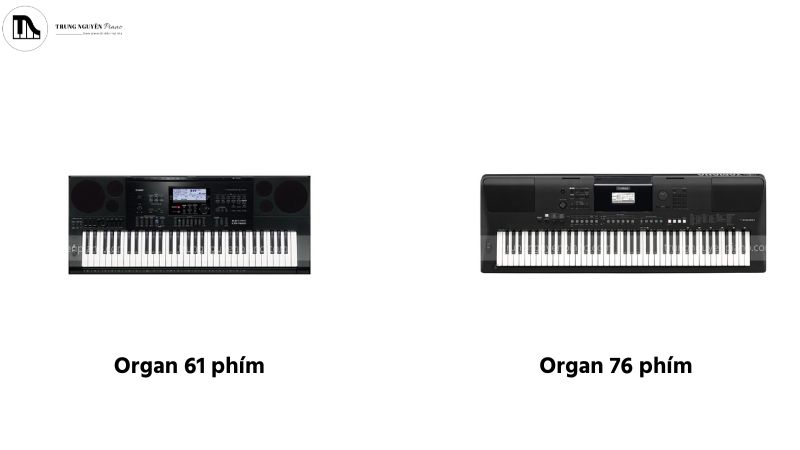 Đàn organ 61 phím và 76 phím