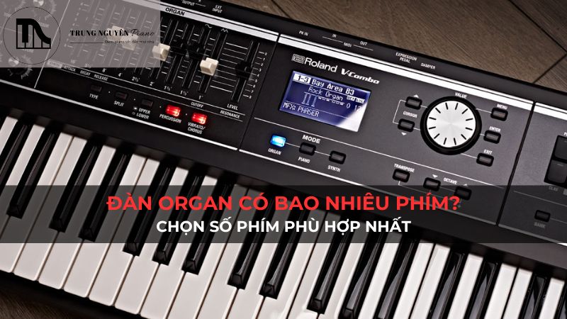 Đàn organ có bao nhiêu phím? Chọn số phím phù hợp nhất
