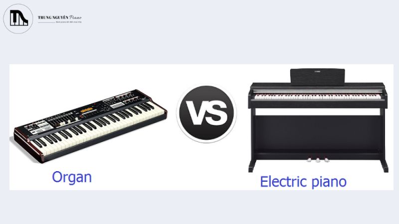 So sánh đàn organ với piano
