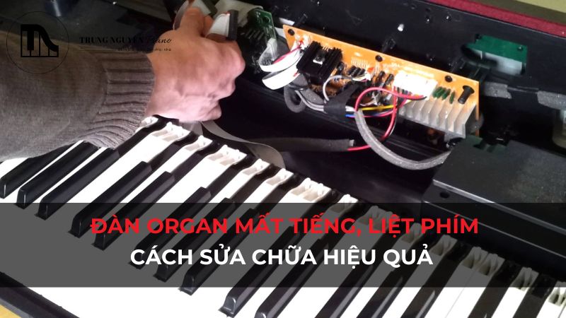 Đàn Organ mất tiếng, liệt phím: Cách sửa chữa hiệu quả