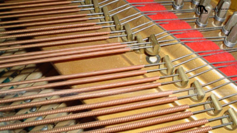 Quan sát toàn bộ các dây đàn