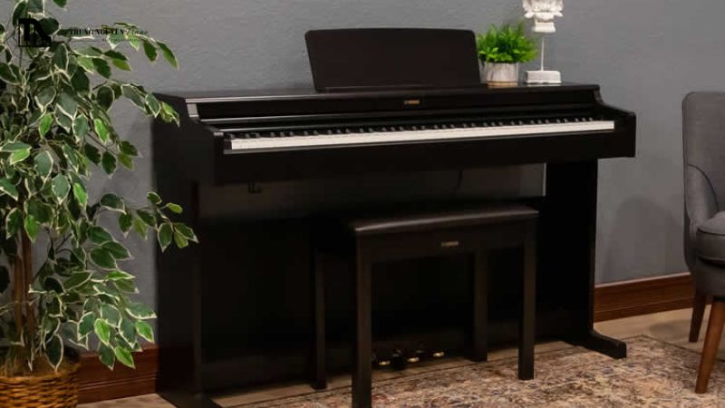 Đánh giá tính năng và kết nối đàn piano điện Yamaha YDP-145