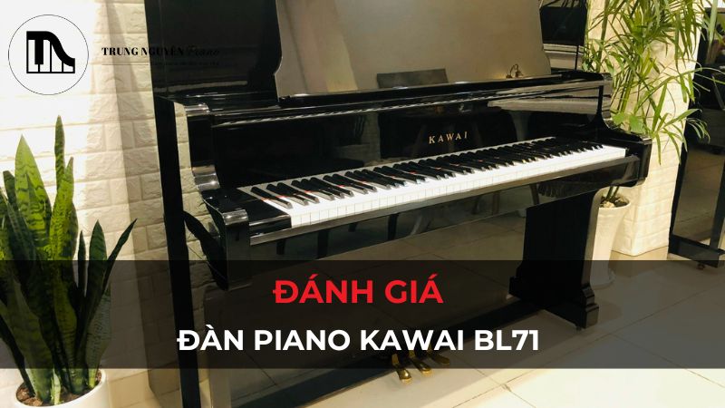 Đánh giá đàn piano Kawai BL71: Chi tiết A-Z, có đáng mua?
