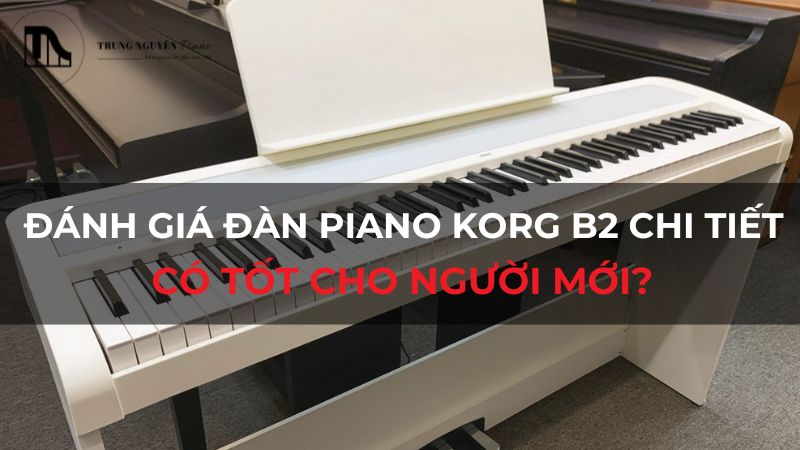 Đánh giá đàn piano Korg B2 chi tiết: Có tốt cho người mới?