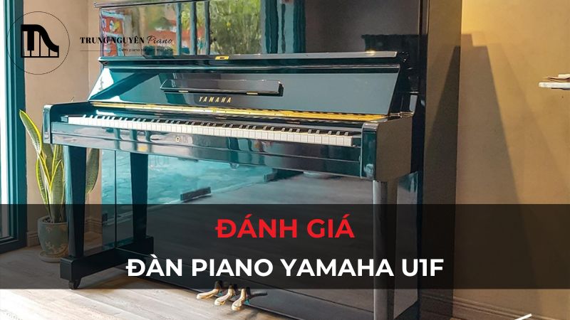 Đánh giá đàn piano Yamaha U1F: Đàn cơ cũ tốt cho người mới bắt đầu
