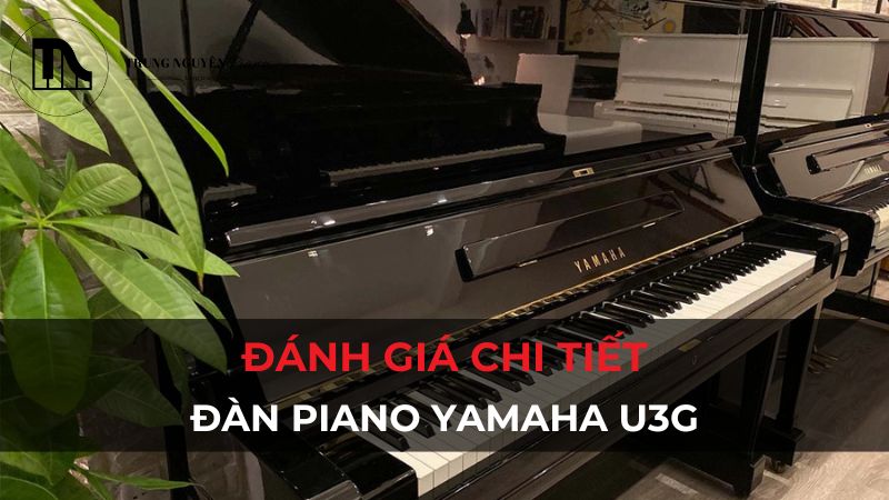 Đánh giá đàn piano Yamaha U3G: Âm thanh, độ bền & giá trị