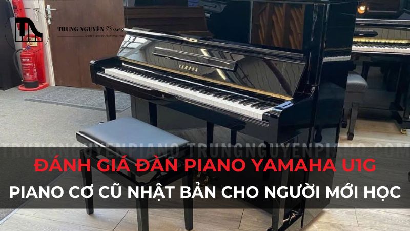 Đánh giá đàn piano Yamaha U1G: Piano cơ cũ Nhật Bản cho người mới học