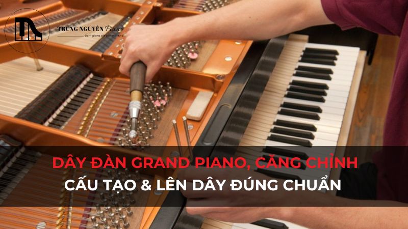 Dây đàn Grand Piano, căng chỉnh: Cấu tạo & Lên dây đúng chuẩn