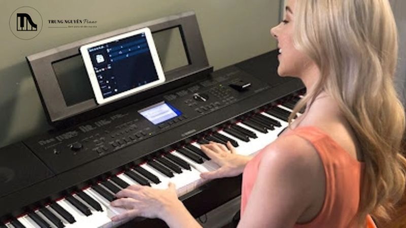 Bảo hành chính hãng từ nhà sản xuất hoặc từ đại lý ủy quyền chính thức