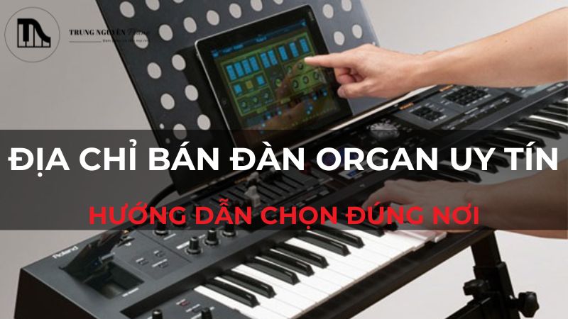 Địa chỉ bán đàn organ uy tín: Hướng dẫn chọn đúng nơi