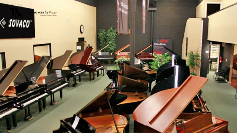 Mua đàn cũ tiềm ẩn nhiều rủi ro hơn, vì vậy cần kiểm tra piano cũ thật kỹ lưỡng