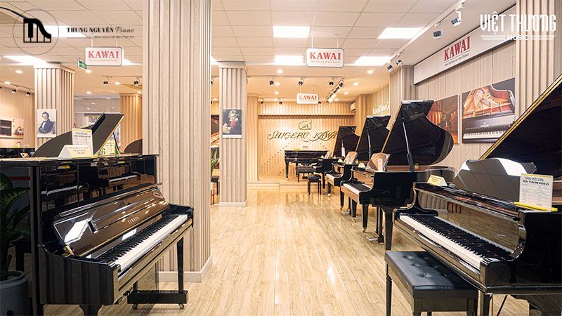 Piano cơ (Acoustic Piano)