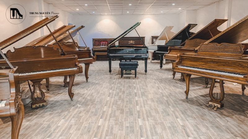 Piano điện (Digital Piano)