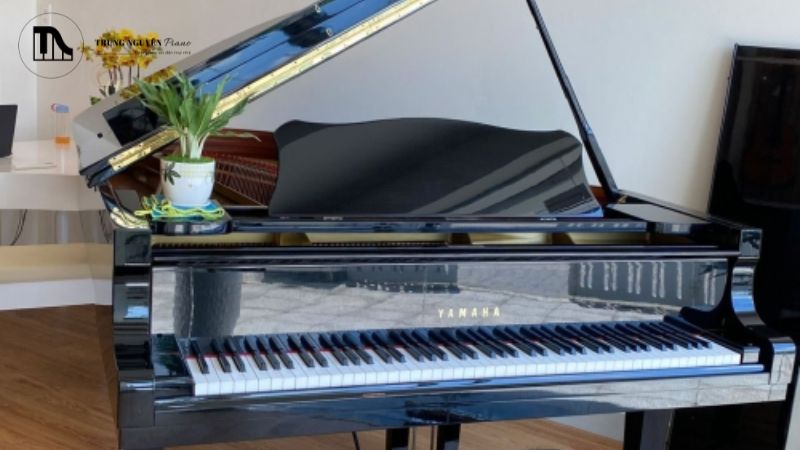 Cửa hàng có lịch sử hoạt động lâu năm thường đã xây dựng được niềm tin vững chắc từ khách hàng