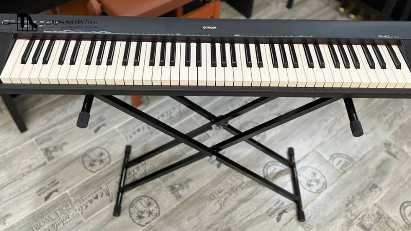 Người mới học piano nên chọn piano cơ vs piano điện?