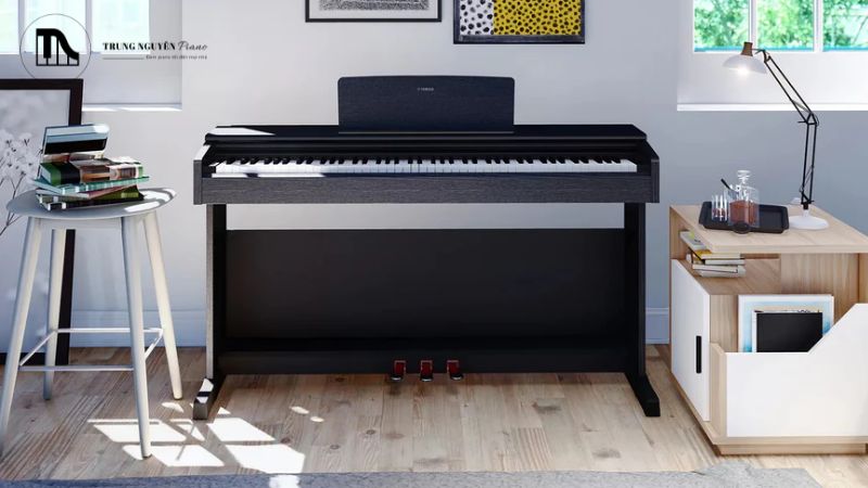 Không gian showroom lý tưởng cần rộng rãi, đủ yên tĩnh để nghe rõ tiếng đàn và có ánh sáng tốt