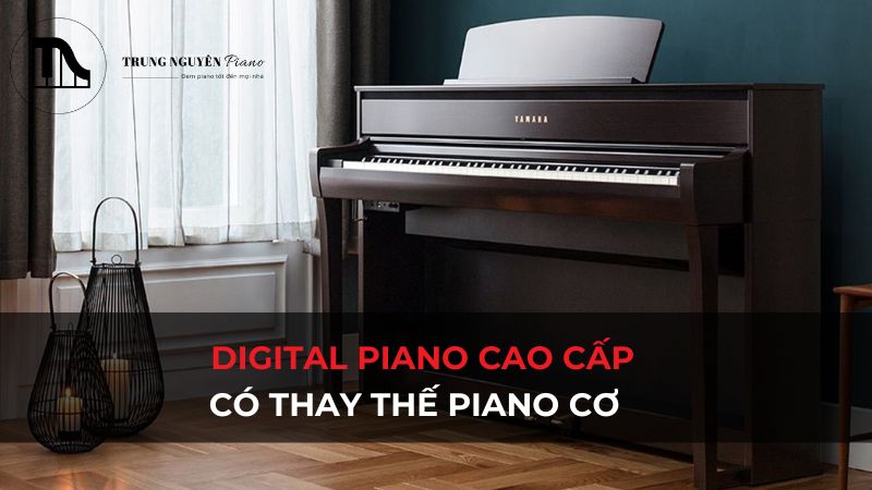 Digital piano cao cấp có thay thế piano cơ? Đánh giá chi tiết