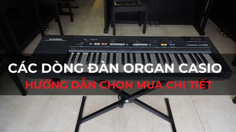 Các dòng đàn Organ Casio: Hướng dẫn chọn mua chi tiết