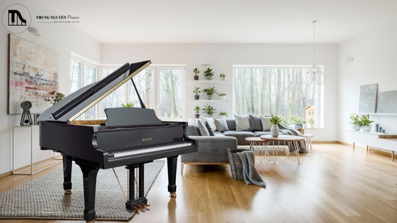 Giá của đàn grand piano bao nhiêu