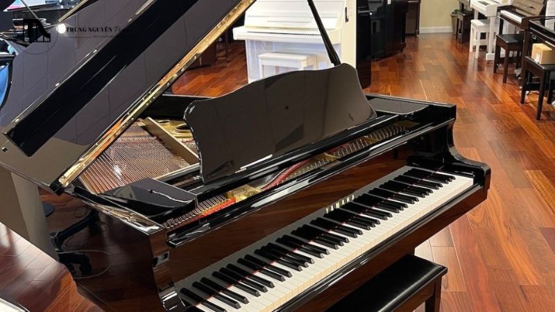 So sánh Grand Piano và Upright: Đặc điểm & khác biệt 1 Grand Piano không chỉ là một nhạc cụ mà còn là một tác phẩm nghệ thuật,